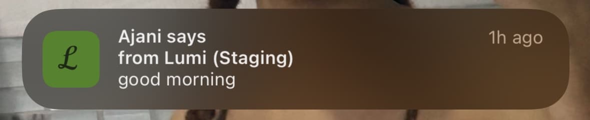 Lumi Example Notification